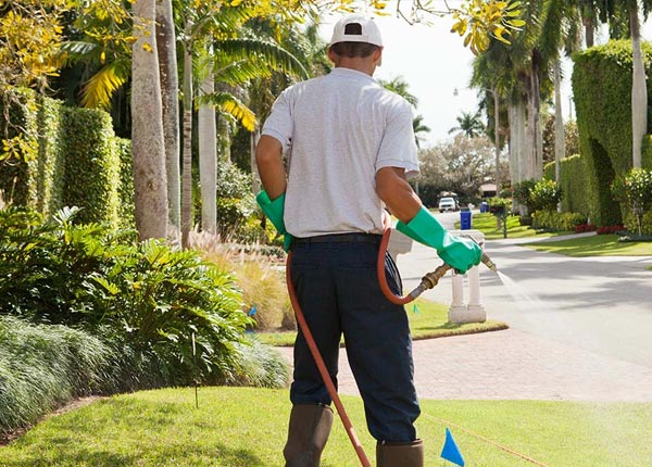About Matfield Green KS Pest Control